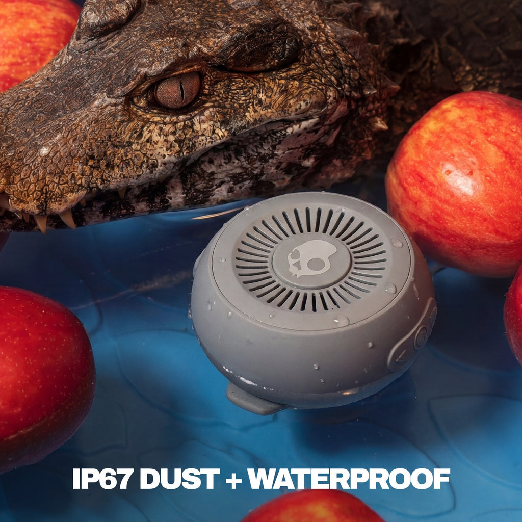 Gray waterproof device with crocodile and apples on a blue surface | Cement