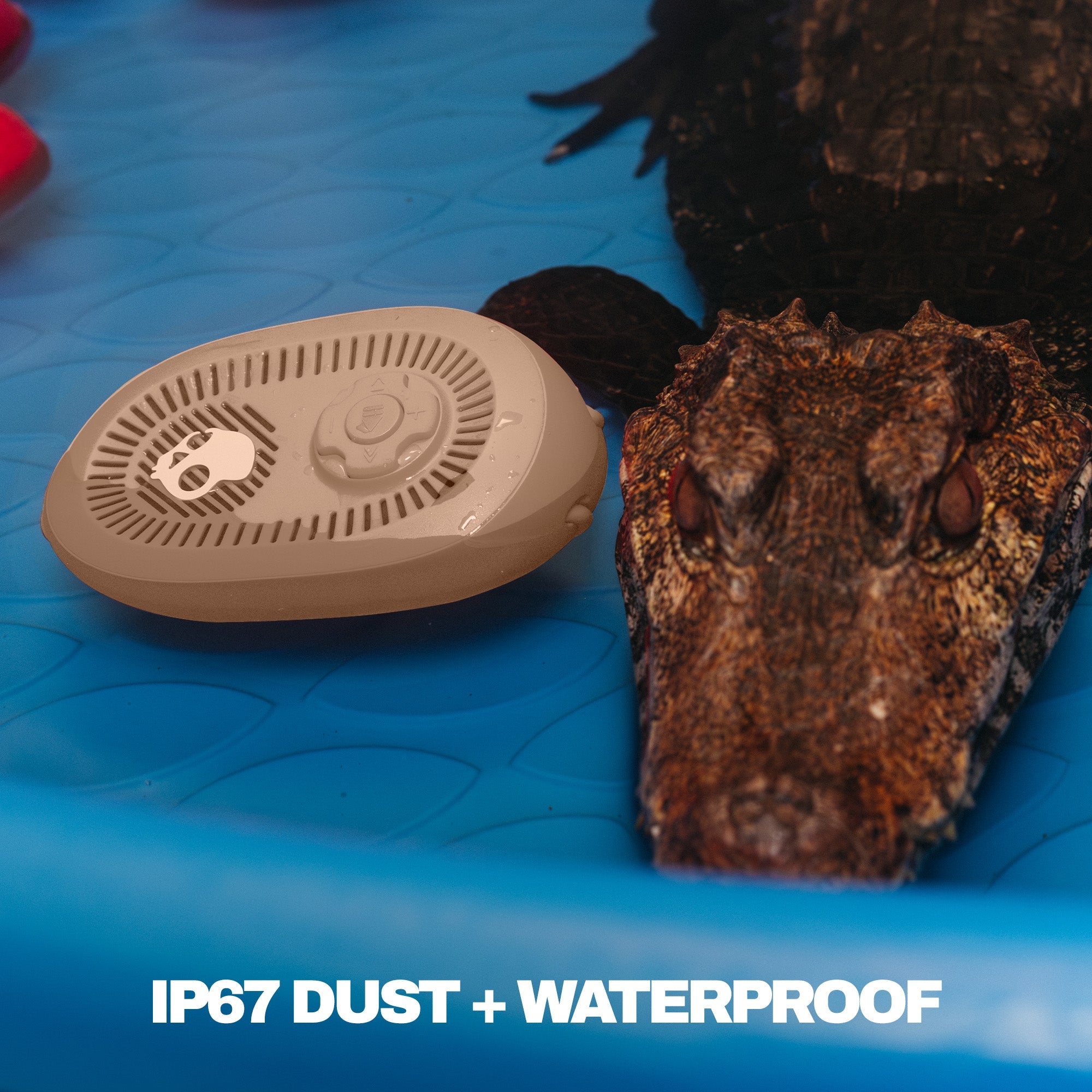 Small brown electronic device on a blue surface with a textured rock-like object. | Primer