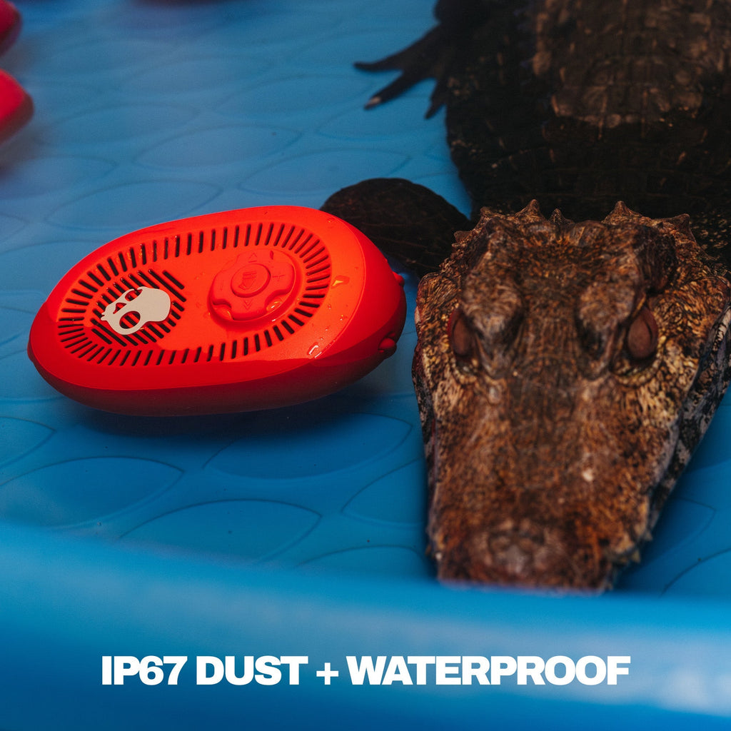 Red electronic device on a blue surface with an alligator nearby, featuring 'IP67 DUST + WATERPROOF' text. | Plasma